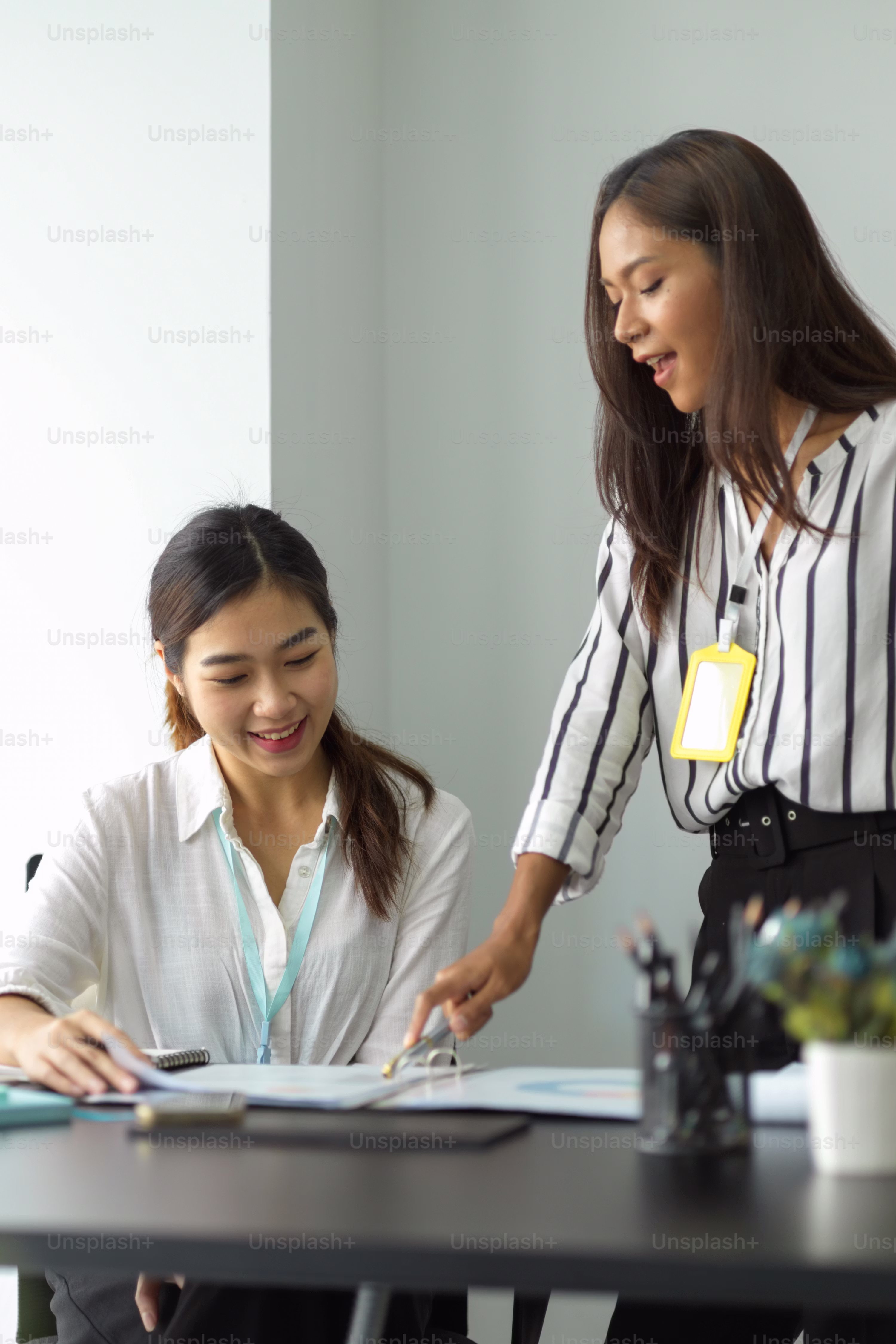 Career mentorship and opportunity